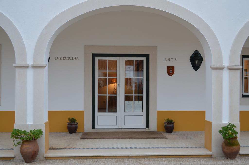 Lusitanus Villa Golega Exterior photo